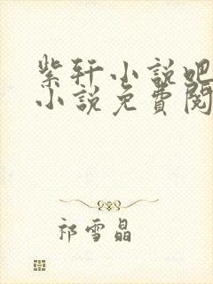 紫轩小说吧姐弟小说免费阅读网站