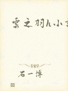 云之羽h小说封面