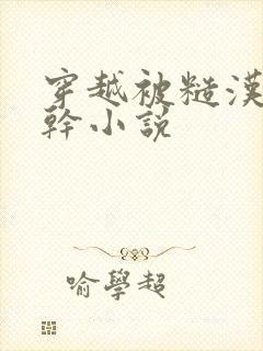 穿越被糙汉天天干小说