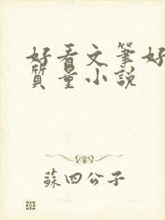 好看文笔好的高质量小说