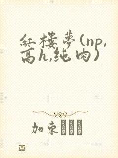 红楼梦(np,高h,纯肉)