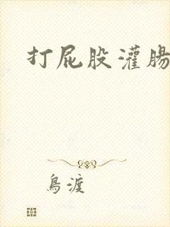 打屁股灌肠封面