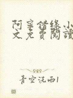 阿宁错缘小说全文免费阅读