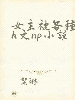 女主被各种调教h文np小说
