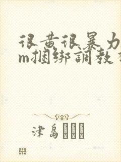 很黄很暴力的sm捆绑调教视频网站