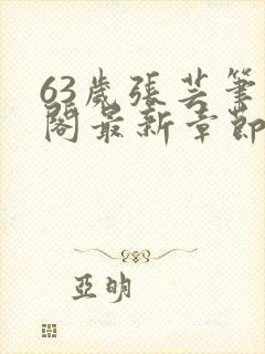 63岁张芸笔趣阁最新章节更新小说封面