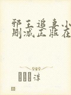 邪王追妻小说无删减正版在线阅读