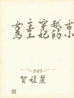 女主穿越古代成为王妃的小说封面