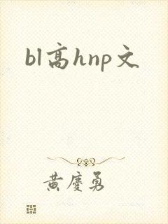 bl高hnp文