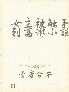 女主被触手玩弄到高潮小说