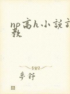 np高h小说调教