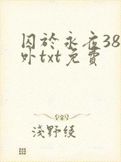 囚于永夜38番外txt免费