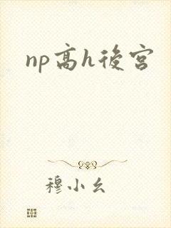 np高h后宫封面