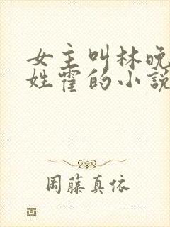 女主叫林晚男主姓霍的小说