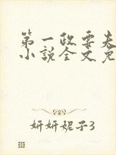 第一政要夫人 小说全文免费阅读