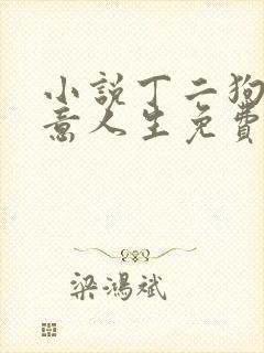 小说丁二狗的肆意人生免费阅读封面