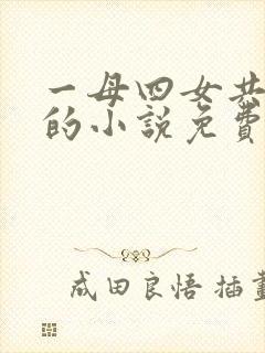 一母四女共一婿的小说免费阅读小冉