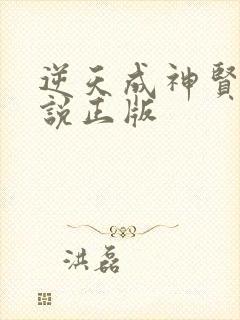 逆天成神贤君小说正版