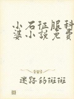 小石征服科长老婆小说免费阅读