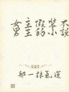 女主假装不认识男主的小说