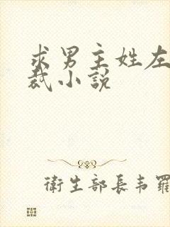 求男主姓左的总裁小说