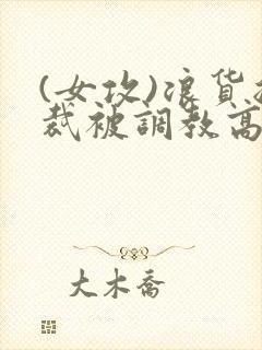 (女攻)浪货总裁被调教高h封面