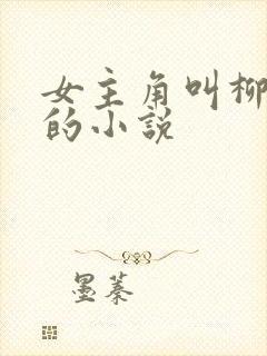 女主角叫柳如烟的小说封面
