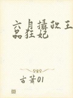 六月摄政王的医品狂妃