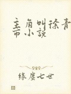 主角叫徐青的都市小说