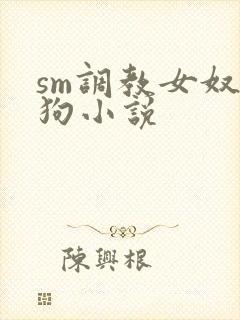 sm调教女奴母狗小说封面