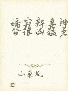 娇宠新妻神秘老公很凶猛免费阅读