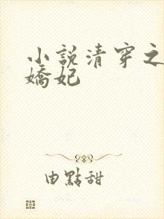 小说清穿之太子娇妃封面