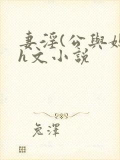 妻淫(公与媳7h文小说封面