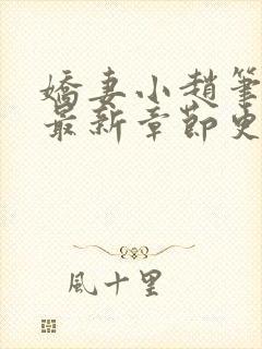 娇妻小赵笔趣阁最新章节更新时间