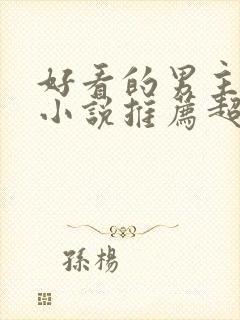 好看的男主穿越小说推荐超经典