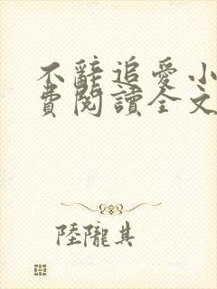 不辞追爱小说免费阅读全文最新章节