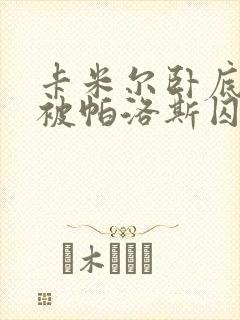 卡米尔卧底失败被帕洛斯囚禁的小说