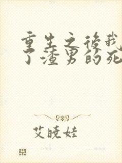 重生之后我嫁给了渣男的死对头短剧封面