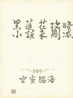 黑莲花攻略手册小说未删减封面