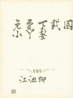 免费下载国公府小丫鬟