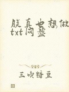 朕真也想做明君txt网盘