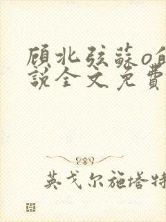 顾北弦苏o的小说全文免费阅读封面