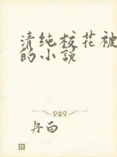 清纯校花被调教的小说封面