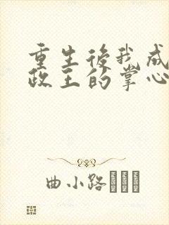 重生后我成了摄政王的掌心宠txt全集下载