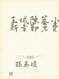 王城陈蓉小说最新章节免费阅读全文