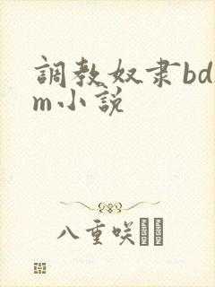 调教奴隶bdsm小说封面