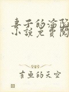 妻子的沦陷七安小说免费阅读封面