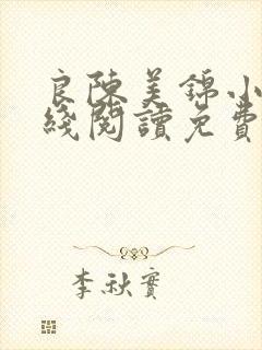 良陈美锦小说在线阅读免费