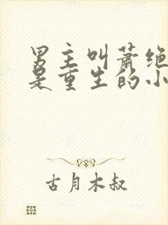 男主叫萧绝女主是重生的小说封面