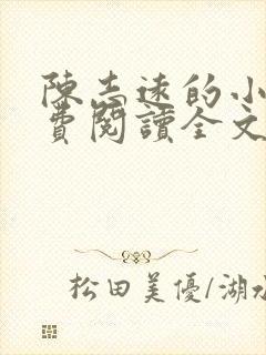 陈志远的小说免费阅读全文